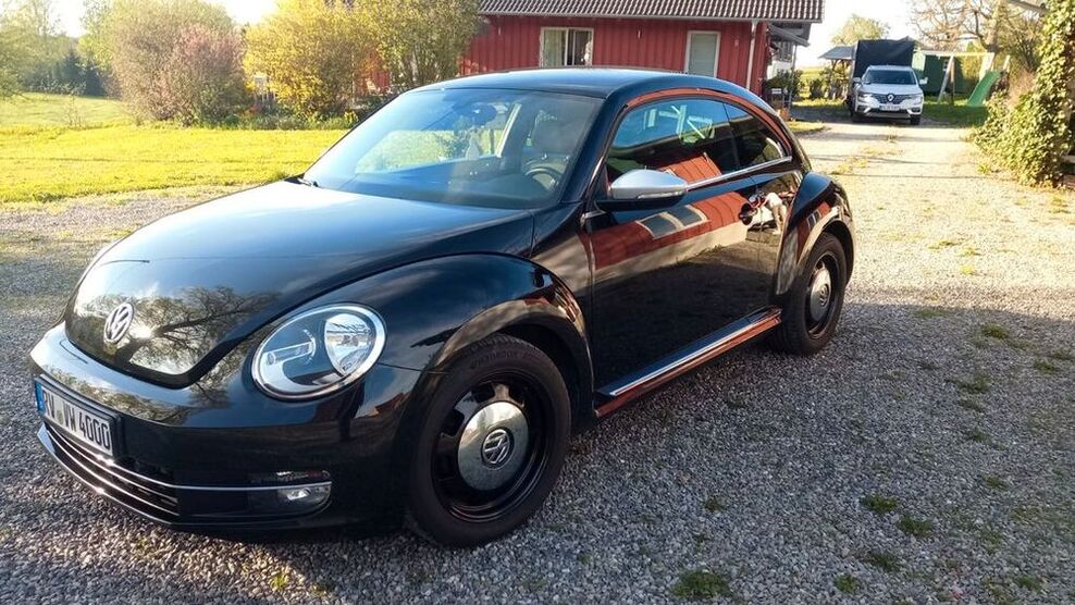 Beetle