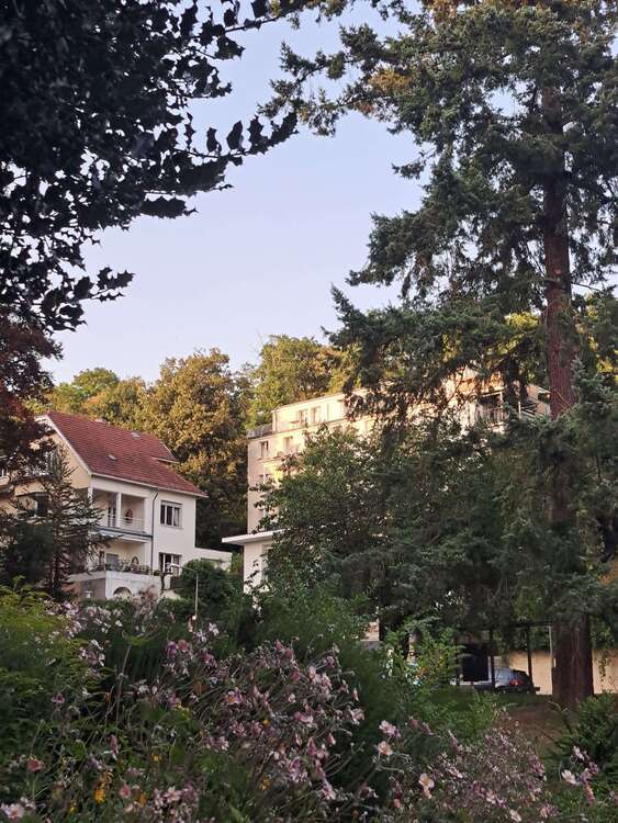 Wohnung zum Mieten in Wiesbaden 950 € 74 m² 2 zimmer