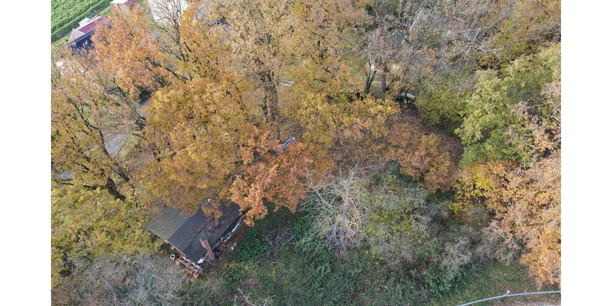 Ländlich wohnen, urban genießen - Großzügiges Grundstück für Ihr KfW 40-Haus in grüner Lage zimmer