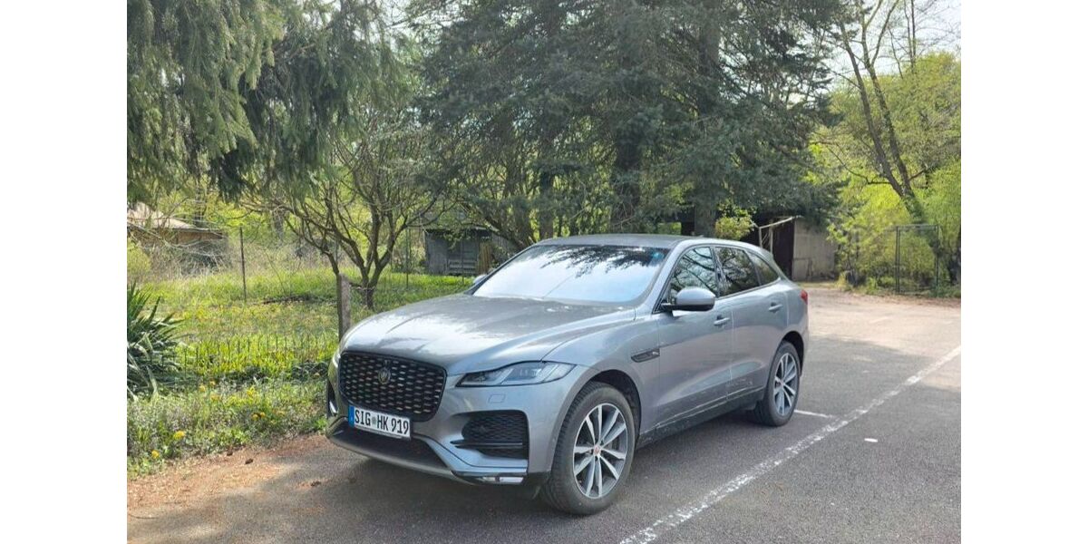 Jaguar F-Pace 49.000 km 42.500 &euro; MENGEN 88512