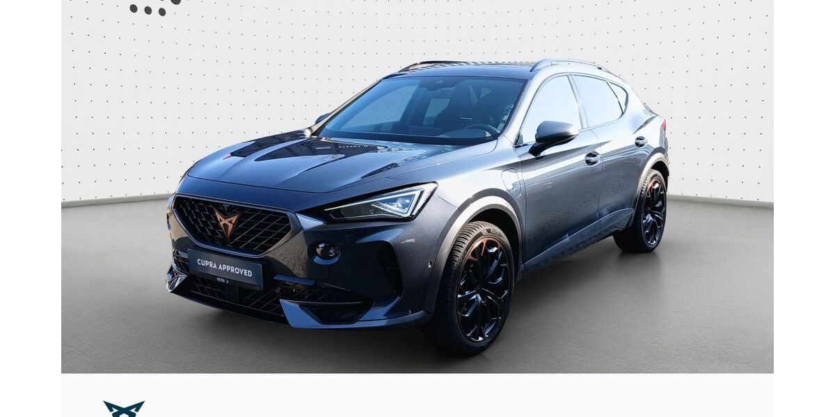 Cupra Formentor 50.947 km 28.980 &euro; Hofheim-Diedenbergen 65719