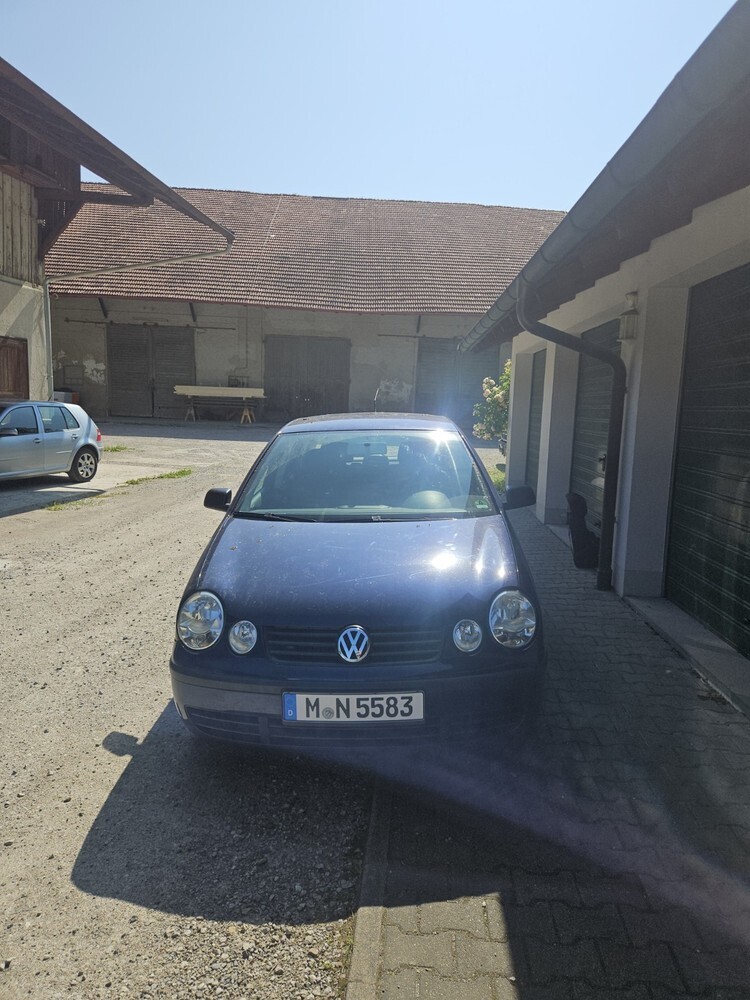 Polo