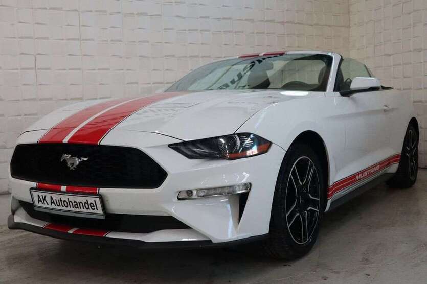 Mustang