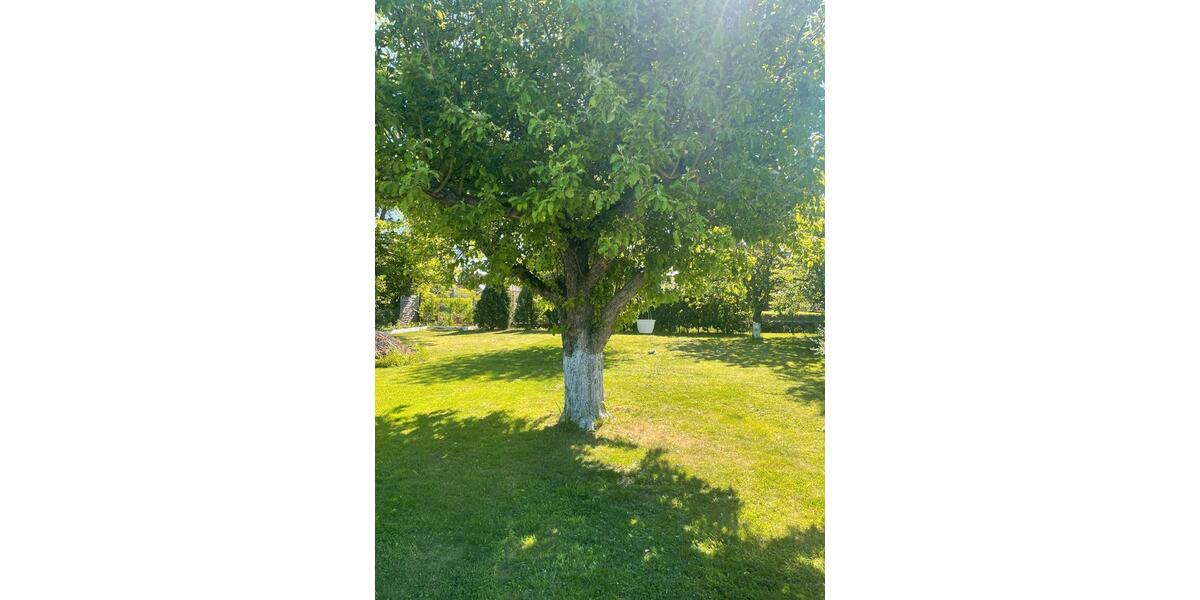 Doppelhaushälfte Küstriner Vorland - 3 Zimmer, 110 m&sup2;, 115.000&euro; | Angebot:26868325