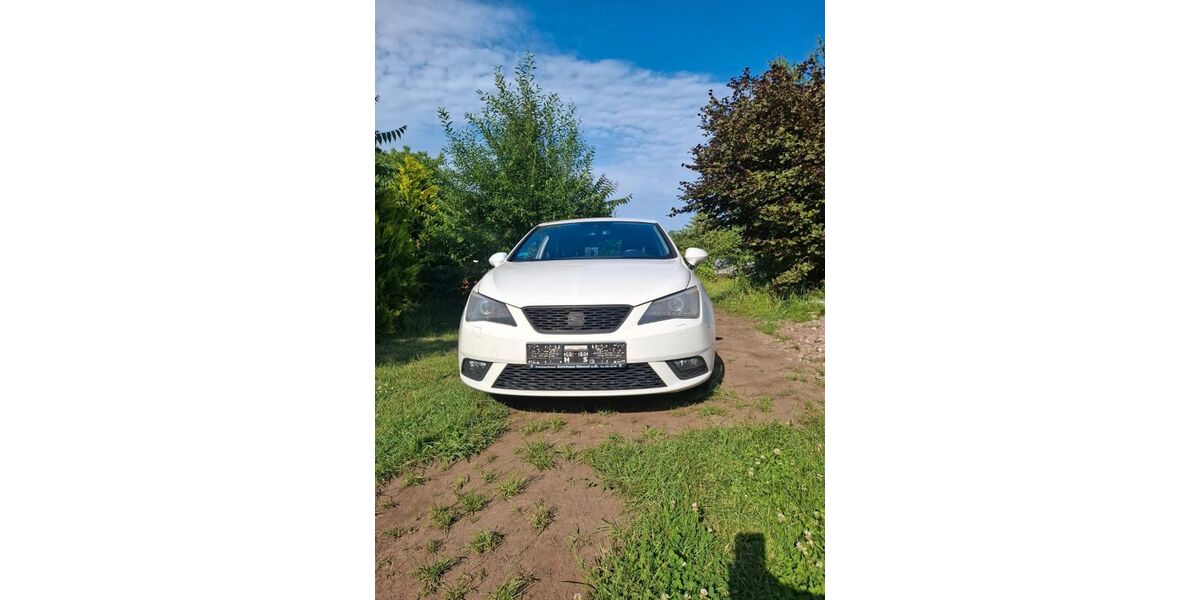 Seat Ibiza 185.000 km 3.900 &euro; Holzweißig 06808
