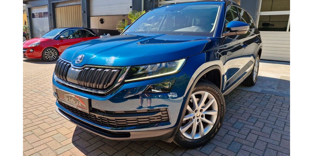 Skoda Kodiaq 137.500 km 19.900 &euro; Floß 92685
