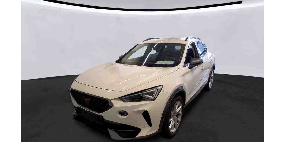 Cupra Formentor 33.905 km 25.900 &euro; Diez 65582