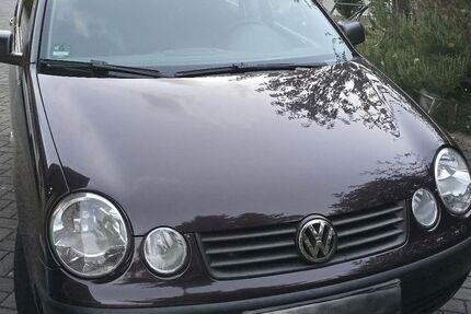 VW Polo 208.000 km 1.950 &euro; Kolkwitz 03099
