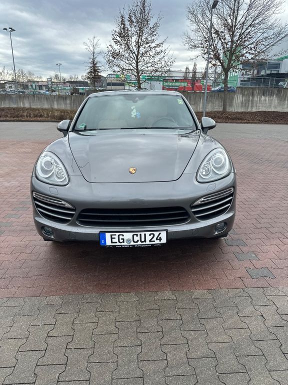 Cayenne
