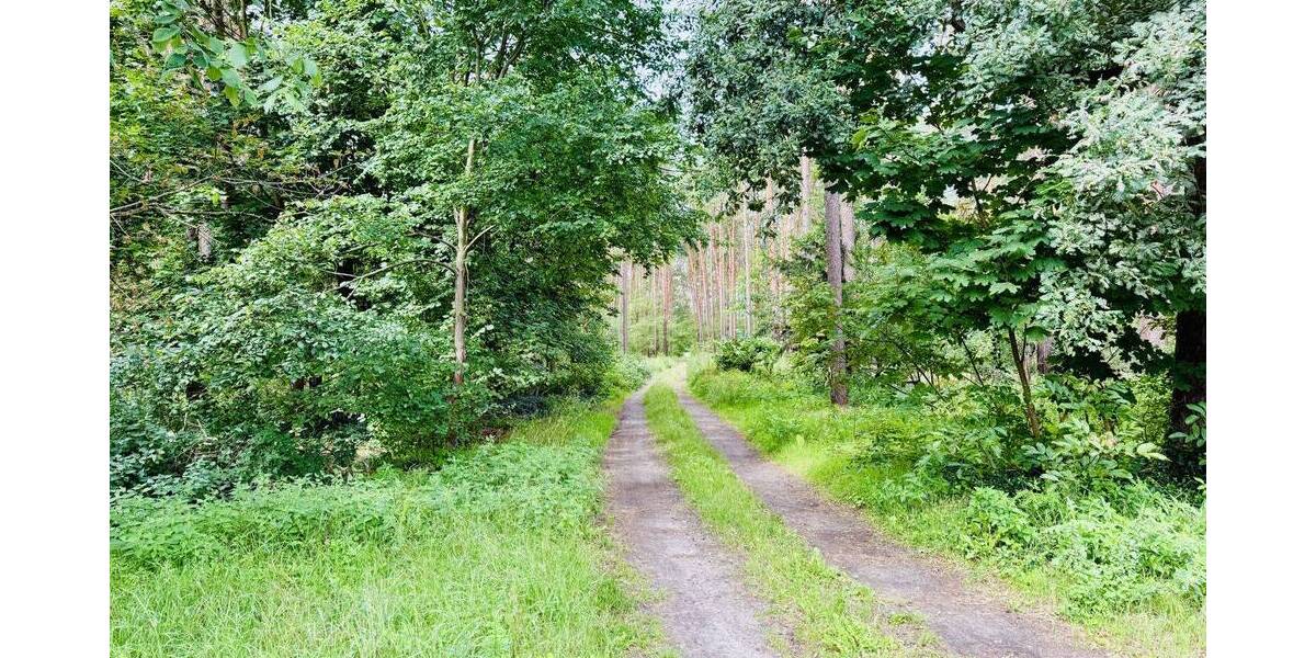 Etagenwohnung Wusterwitz - 3 Zimmer, 100 m&sup2;, 298.000&euro; | Angebot:26878688