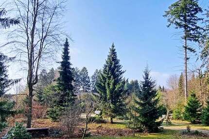 Grundstück Buchholz in der Nordheide - 289.000&euro; | Angebot:26015114