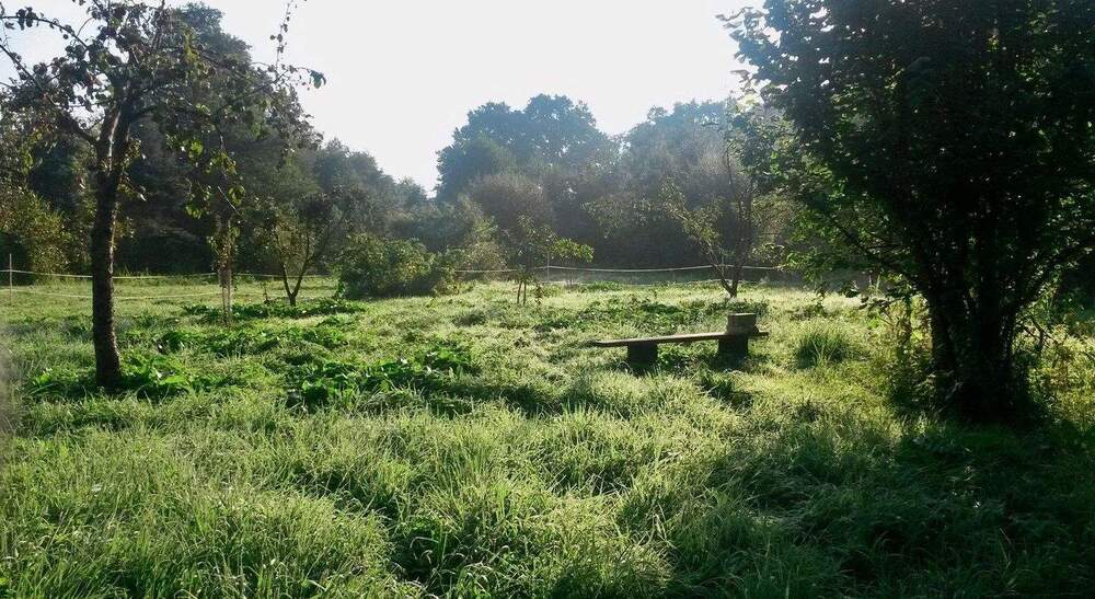 Grundstück Biesenthal - 98.000&euro; | Angebot:25391496