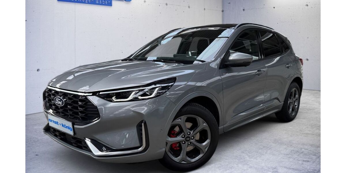Ford Kuga 17.800 km 33.990 &euro; Freiburg im Breisgau 79108