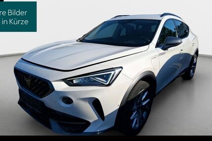Cupra Formentor 118.582 km 18.840 &euro; Hofheim-Diedenbergen 65719