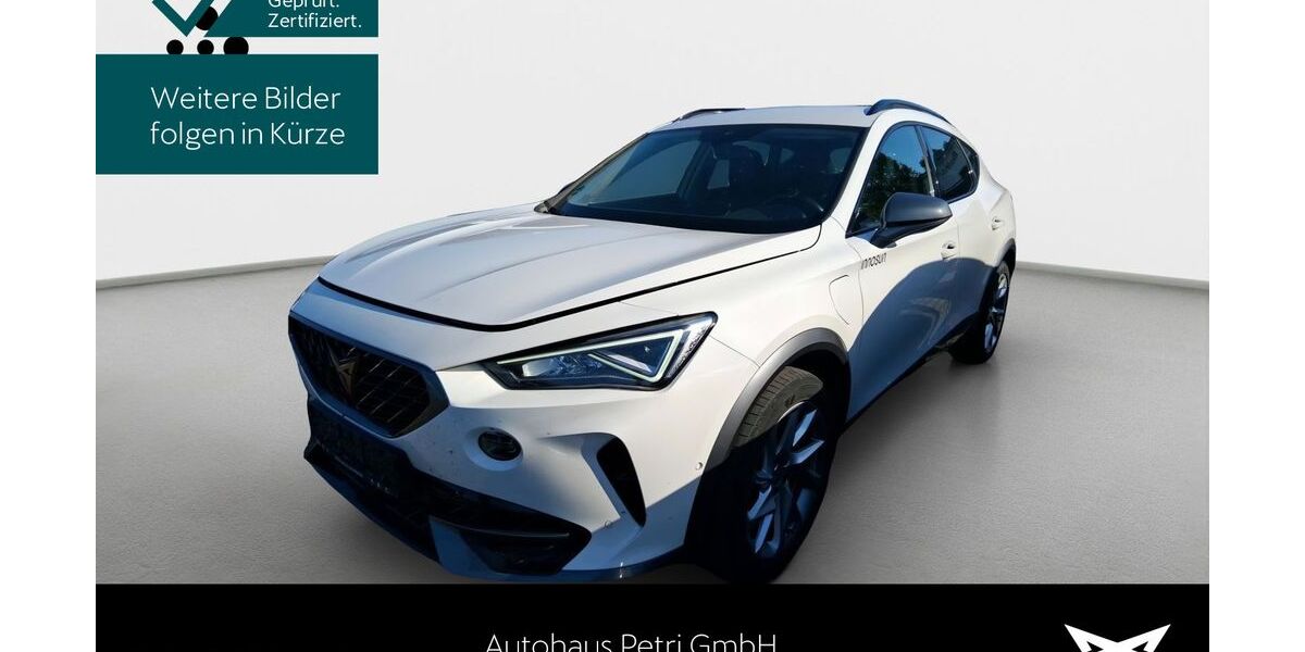 Cupra Formentor 118.582 km 18.840 &euro; Hofheim-Diedenbergen 65719