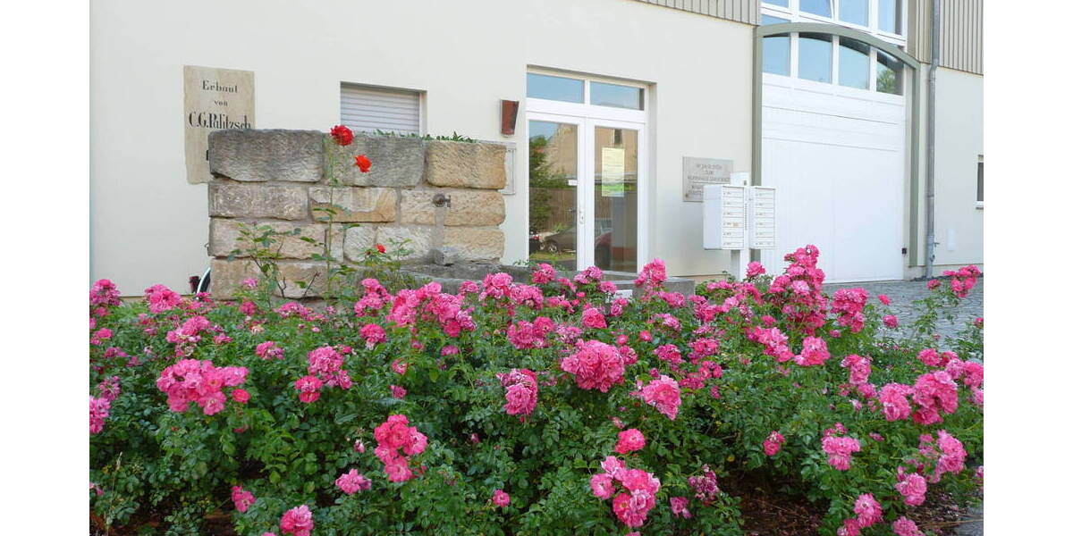 Gewerbeobjekt Heidenau - 5 Zimmer, 170 m&sup2;, 350.000&euro; | Angebot:25797046