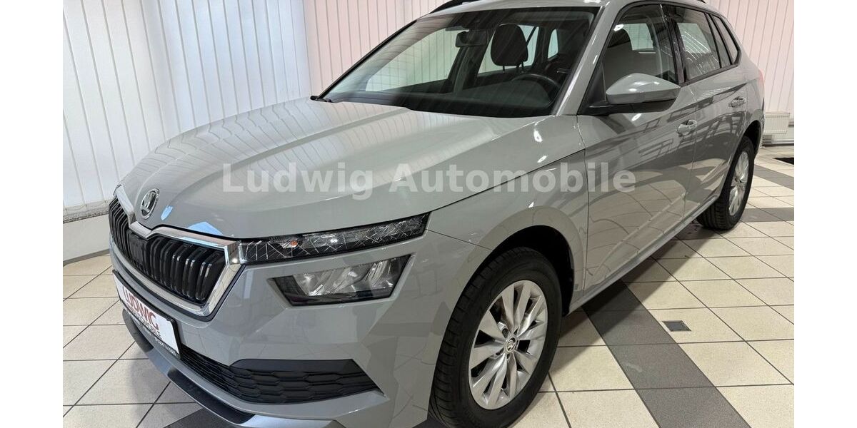 Skoda Kamiq 65.371 km 16.480 &euro; Pößneck 07381
