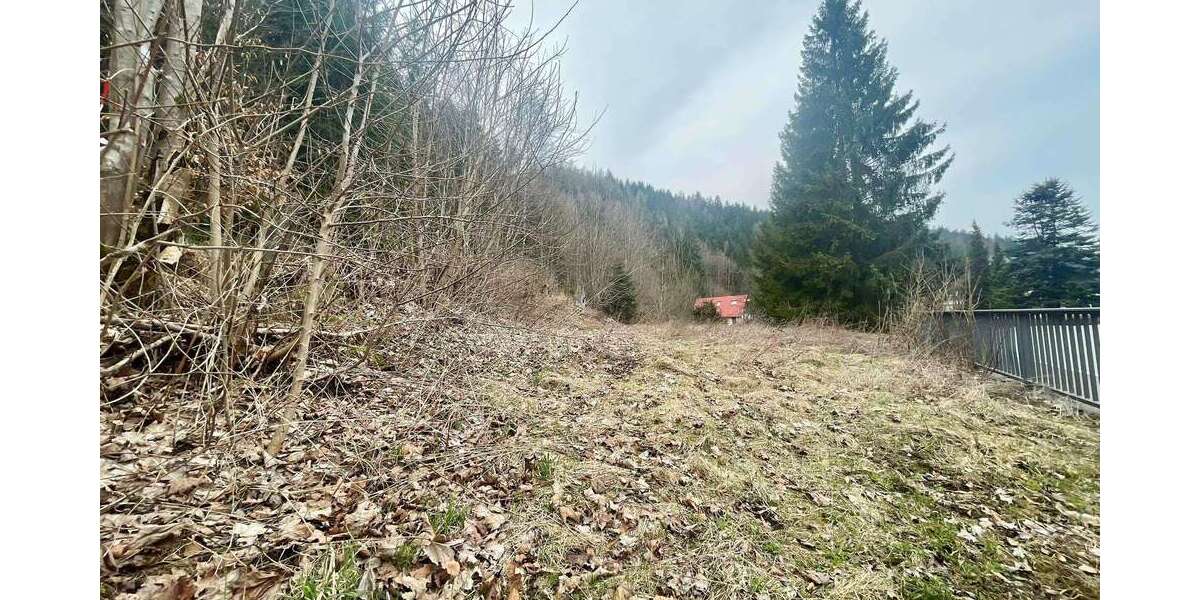 Grundstück Klingenthal - 22.000&euro; | Angebot:26546881