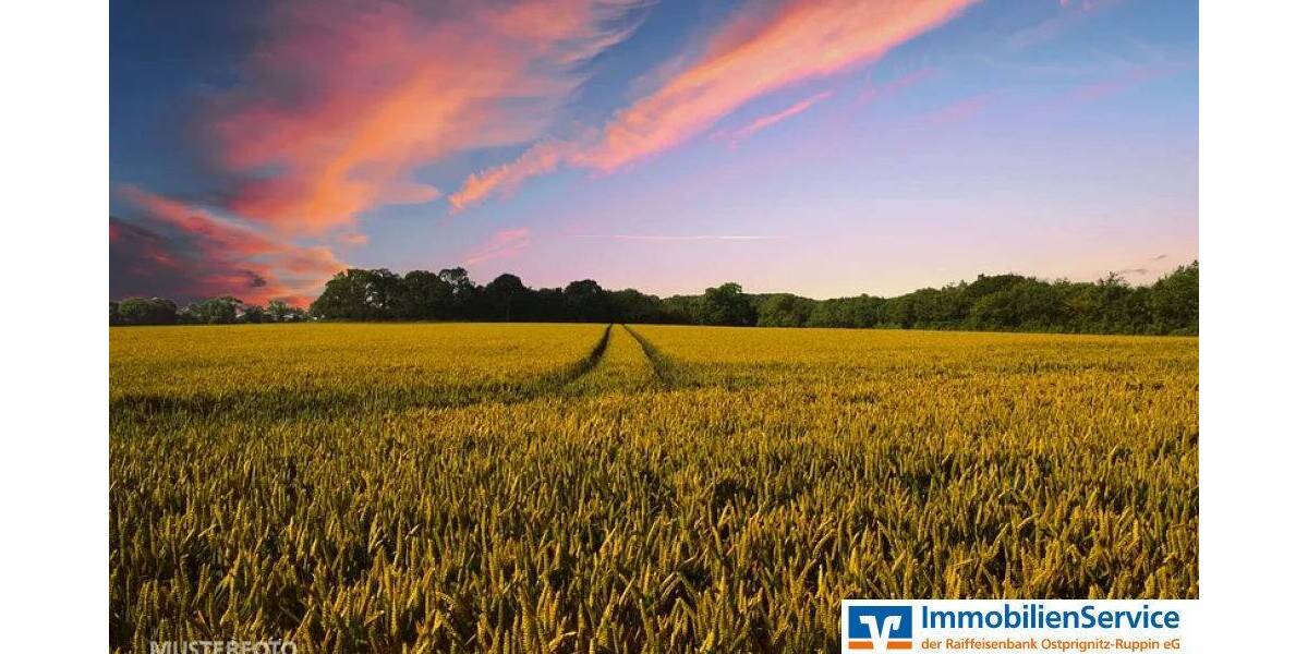 Grundstück Neuruppin - 116.130&euro; | Angebot:25983398
