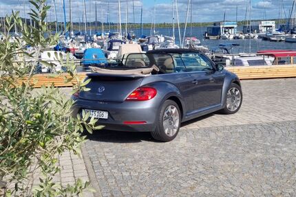 VW Beetle 66.690 km 17.000 € Naumburg 06618