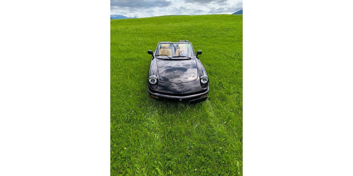 Alfa Romeo Alfa Spider 74.000 km 18.500 &euro; Rettenberg 87549