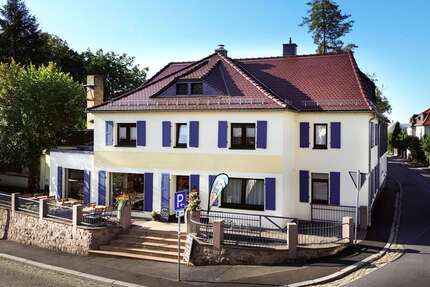 Haus Radebeul - 13 Zimmer, 250 m&sup2;, 1.600.000&euro; | Angebot:27318163