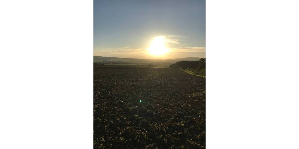 Grundstück Messenkamp - 285.000&euro; | Angebot:25746313