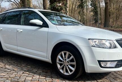 Skoda Octavia 290.000 km 7.500 &euro; Osnabrück 49074