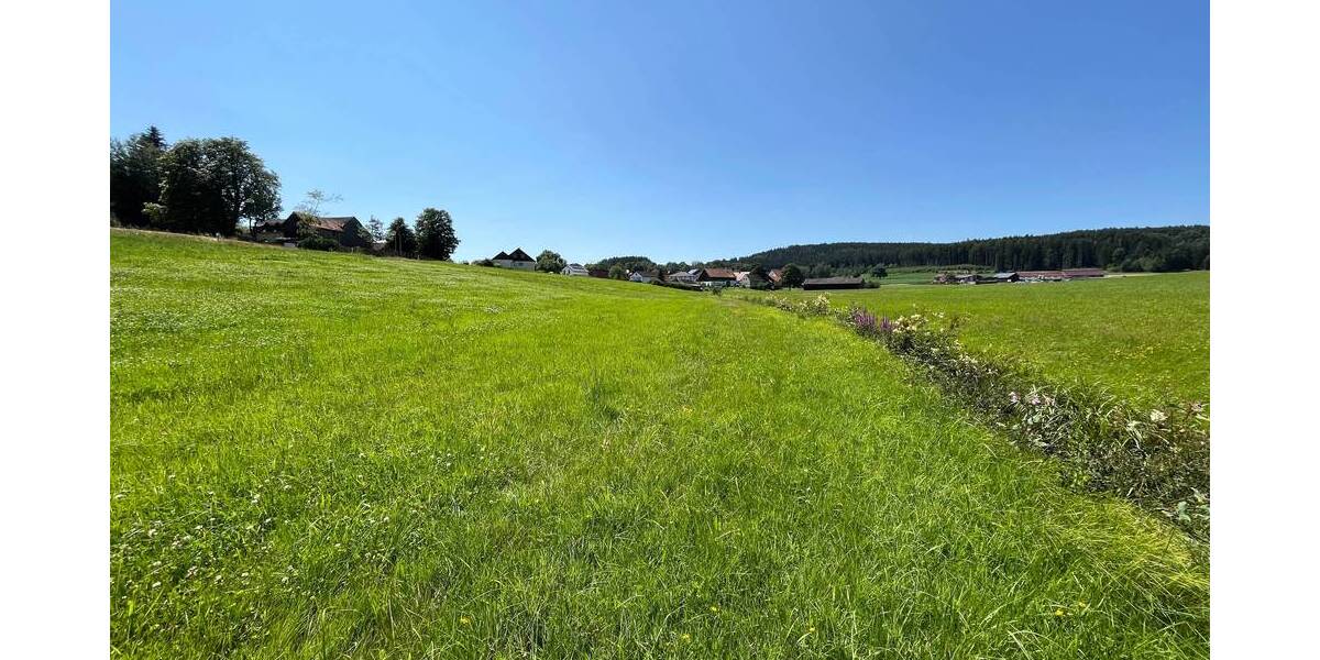 Grundstück Waidhaus - 100.000&euro; | Angebot:25697462