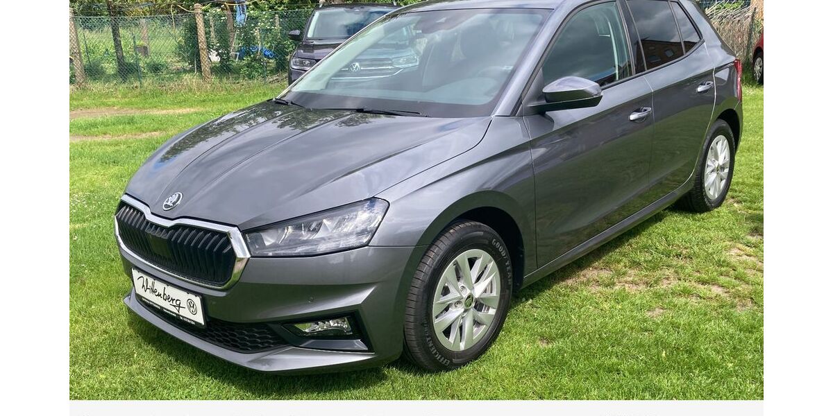 Skoda Fabia 17.880 km 18.990 &euro; Hohenhameln 31249
