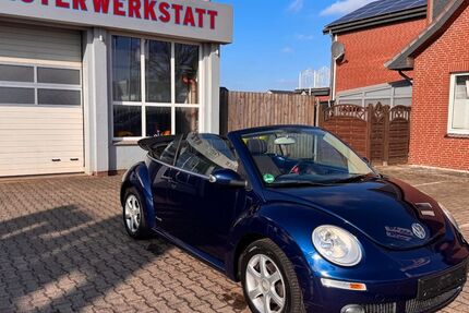 VW New Beetle 134.700 km 7.500 &euro; Twistringen 27239