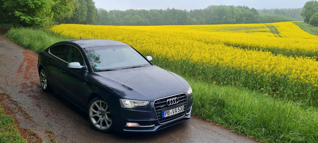 Audi A5 290.000 km 10.200 &euro; Horn-Bad Meinberg 32805
