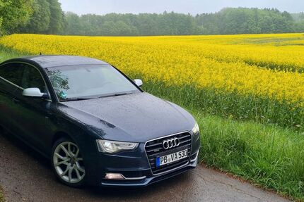 Audi A5 290.000 km 9.950 &euro; Horn-Bad Meinberg 32805