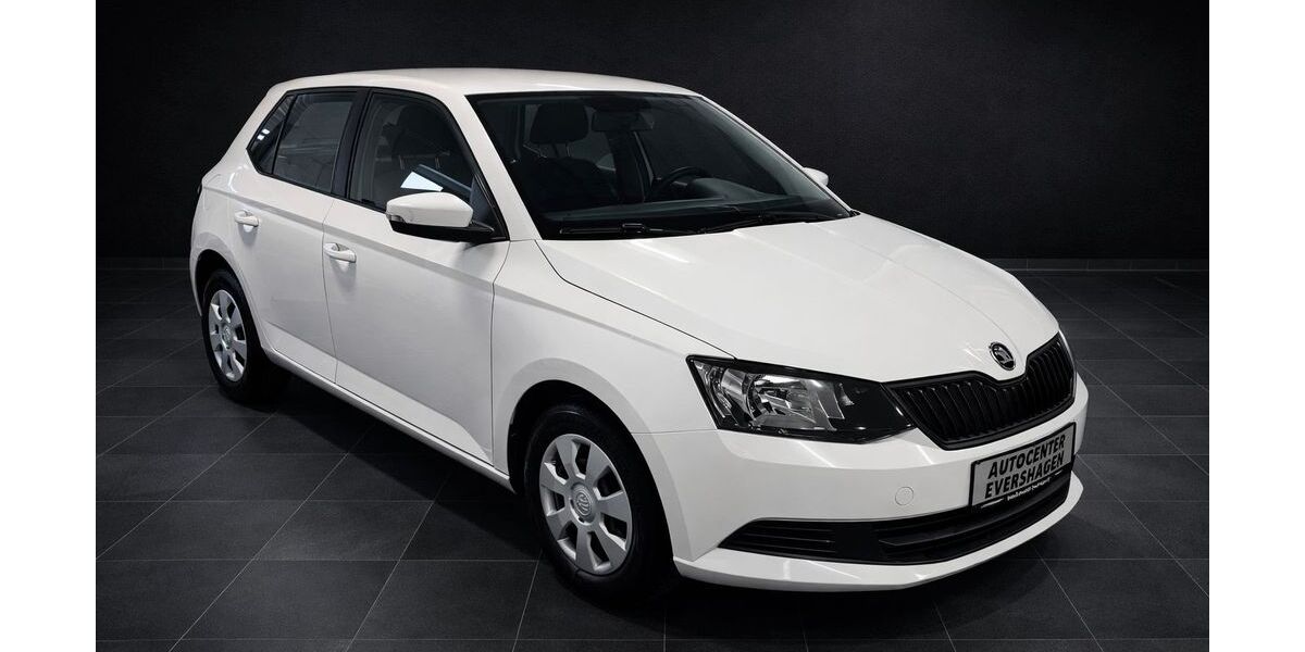 Skoda Fabia 118.000 km 6.999 &euro; Rostock 18106