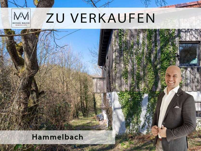 Haus zum Kaufen in Grasellenbach Hammelbach 280.000 € 162 m²