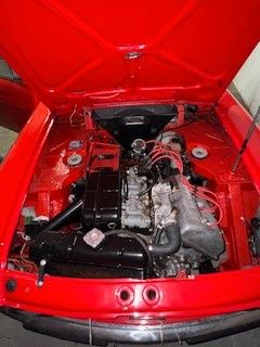 Fulvia