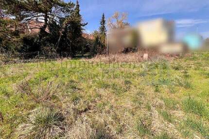 Grundstück Grünstadt - 222.000&euro; | Angebot:25915779