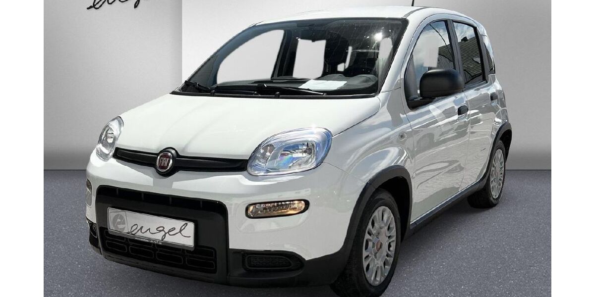 Fiat Panda 48.900 km 11.489 &euro; Wunsiedel 95632