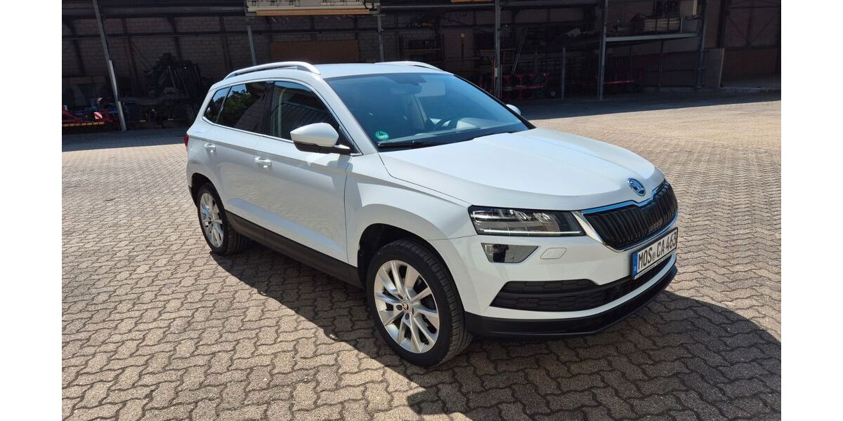 Skoda Karoq 77.100 km 18.900 &euro; Mudau 69427