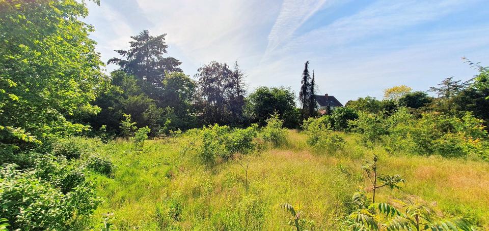 Mehrfamilienhaus, Wohnhaus Wagenhoff - 11 Zimmer, 285 m&sup2;, 260.000&euro; | Angebot:26636687