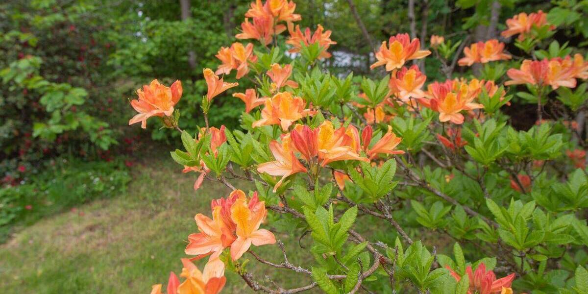 Grundstück Schmitten im Taunus Oberreifenberg - 865.000&euro; | Angebot:25778783