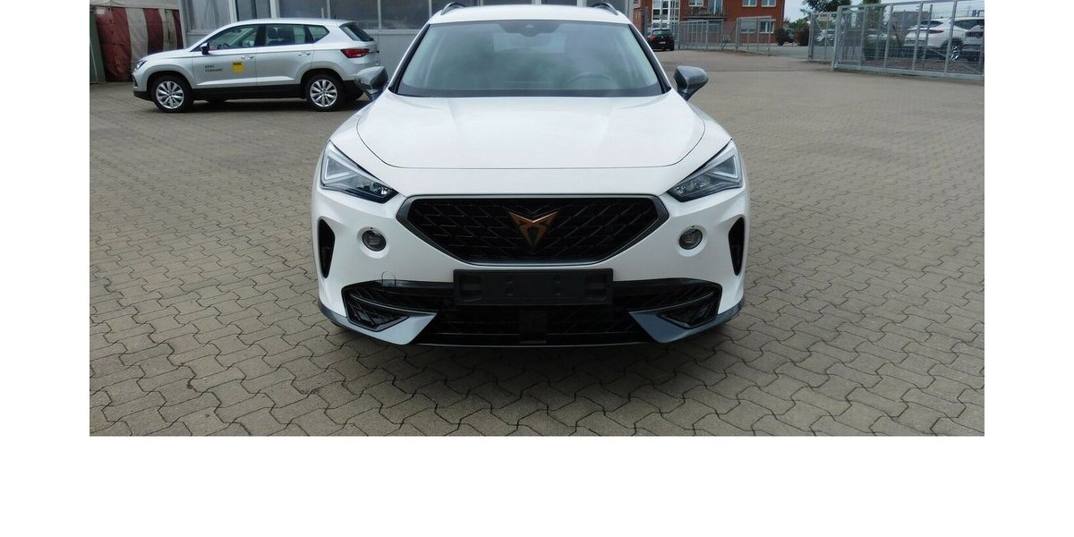 Cupra Formentor 1.5 TSI BMT Klima LED Alu 18.400 km 21.990 &euro; Vordorf 38533