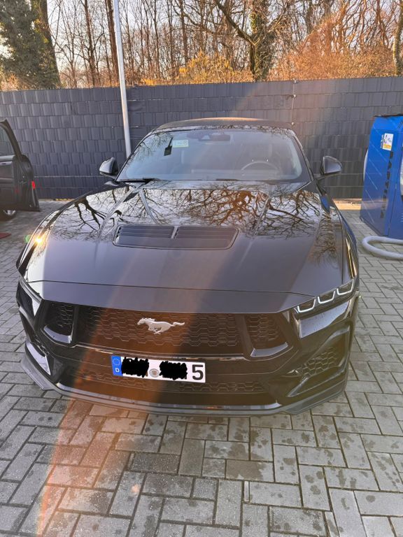 Mustang