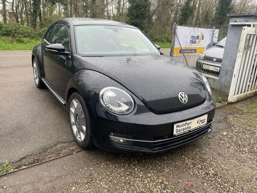 Beetle