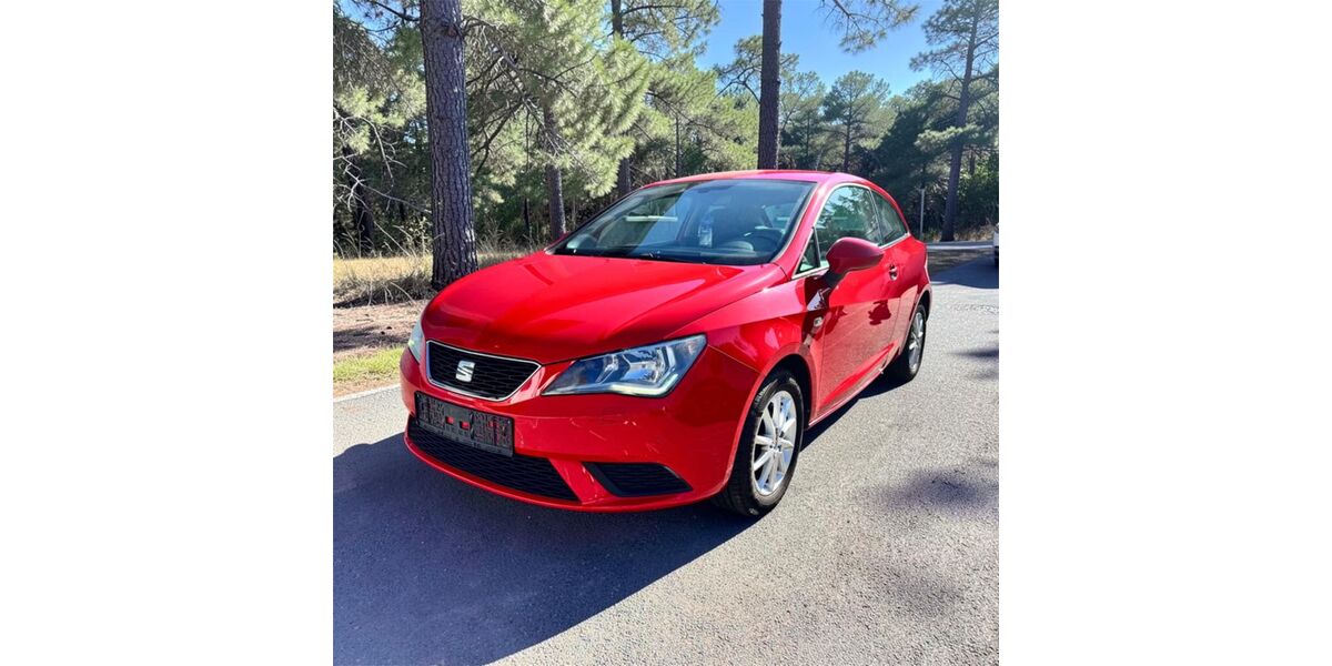 Seat Ibiza 119.100 km 6.498 &euro; Röthenbach 90552