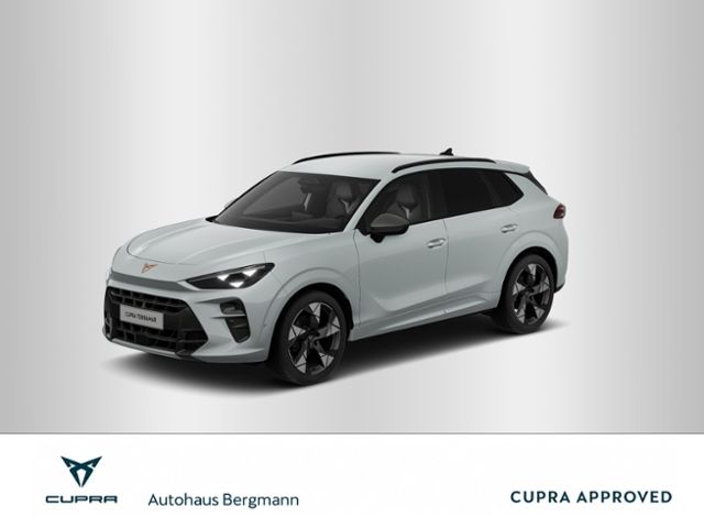 Cupra Terramar 7.500 km 39.898 &euro; Wernigerode 38855