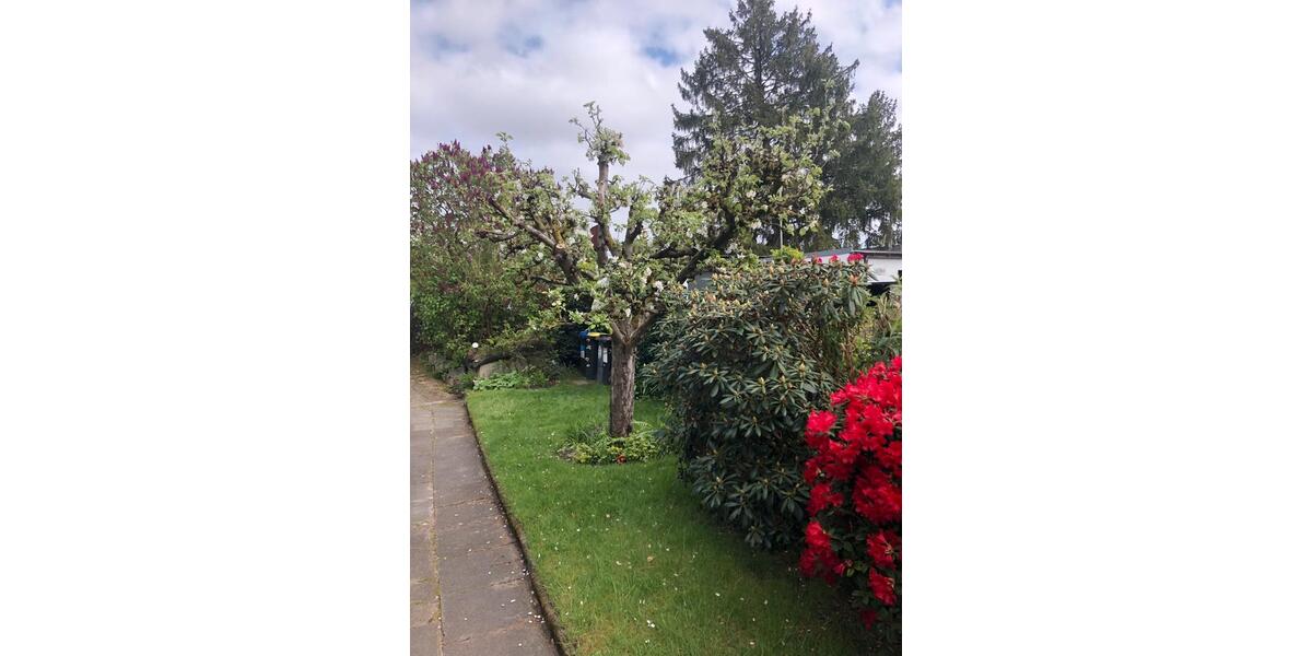 Reihenhaus Lilienthal - 8 Zimmer, 110 m&sup2;, 240.000&euro; | Angebot:26802729