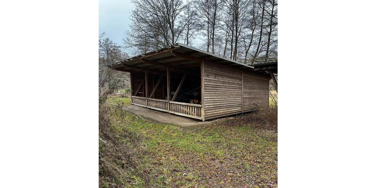 Einfamilienhaus Simmern/Hunsrück Hunsrück - 675.000&euro; | Angebot:26056146