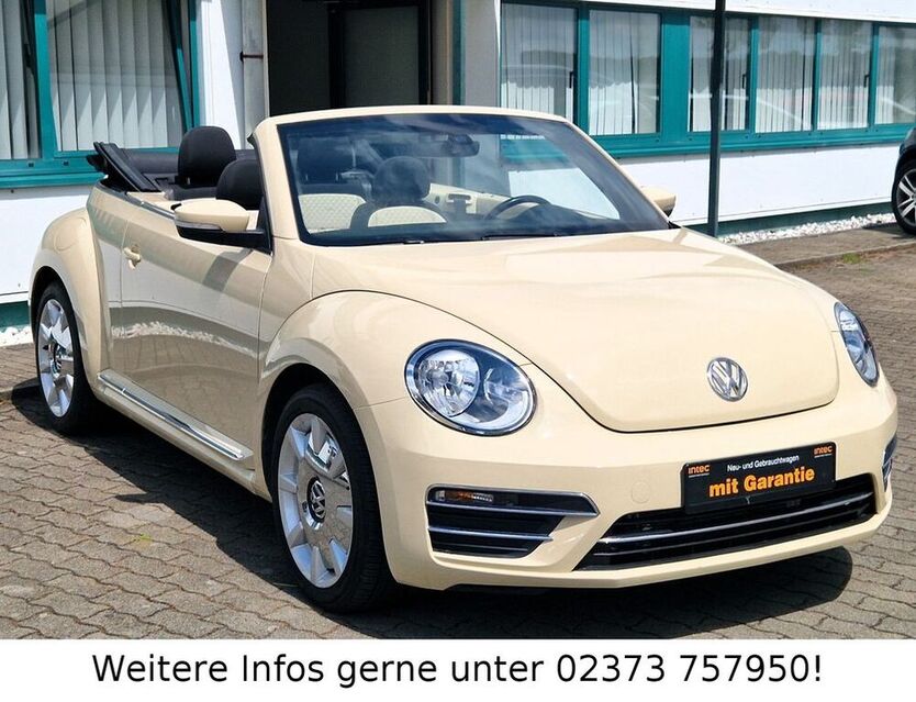 Beetle