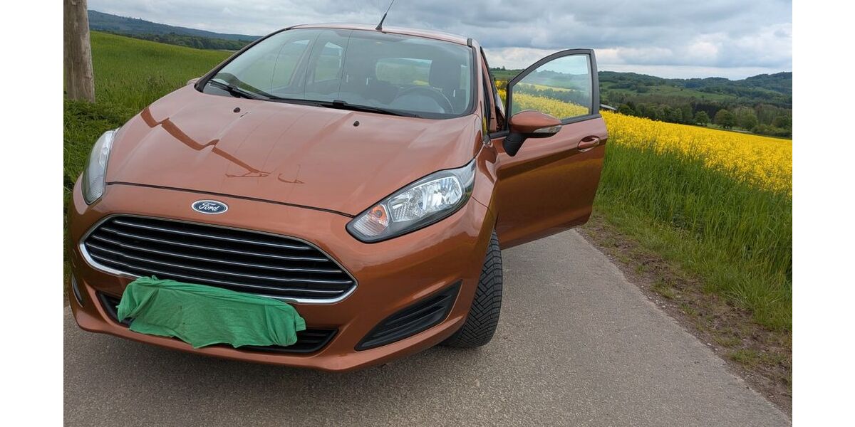 Ford Fiesta 168.958 km 3.900 &euro; Bad Grund 37539